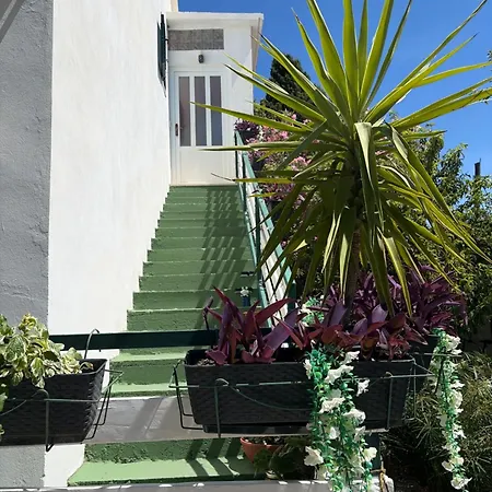 Apartment Ruza *